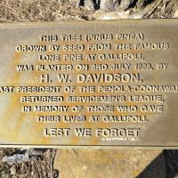 Penola Lone Pine Dedication