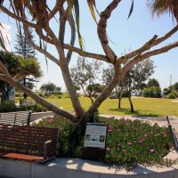 Rowan Robinson Park Kingscliff Foreshore