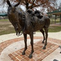 Sandy the War Horse