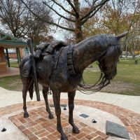 Sandy the War Horse