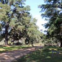 ANZAC Avenue on ANZAC Hill
