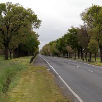 Learmonth Avenue of Honour