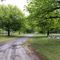 Linton Avenue of Honour