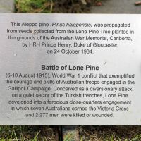 Ballarat RSL Lone Pine Plaque