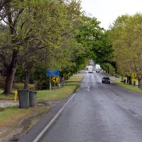 Smythesdale Avenue of Honour 