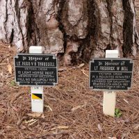 Memorials to Individual Members of the 10th Light Horse Located Adjacent to the Main Regimental Memorial