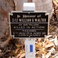 Memorial Plaque Located Along the Lovekin Drive Honour Avenue