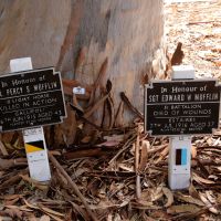 Memorial Plaques Located Along the Lovekin Drive Honour Avenue