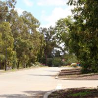 May Drive Honour Avenue Memorial Trees and Plaques