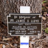 May Drive Honour Avenue Memorial Plaque