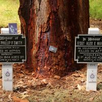 May Drive Honour Avenue Memorial Plaques