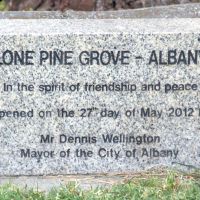 Lone Pine Grove Dedication Stone Located with The Albany Peace Park