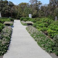 Honouring Women in Wartime Heritage Rose Garden Located Along Convoy Walk, Albany