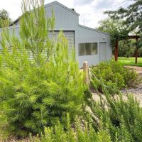 WW1 Soldier Panels and Lone Pine Memorial Garden