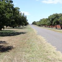 Tourello Avenue Of Honour view from West