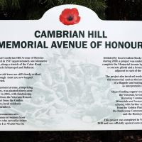 Cambrian Hill AOH Information Board