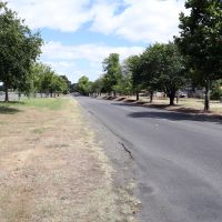Melbourne Road Avenue of Honour - Ballarat East