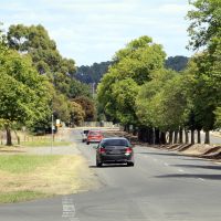 Melbourne Road Avenue of Honour - View 3