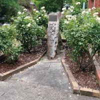 Buninyong RSL Garden Memorial Roses