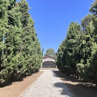 Memorial Avenue leading to the Ossuary