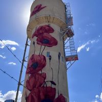 John Monash Water Tower Poppies