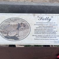 Panel explaining EDD memorial