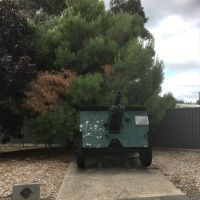 Lone Pine Tree & Plaque