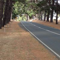 Moyston Avenue of Honour