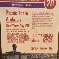 Picnic Train Ambush, 1 January 1915
