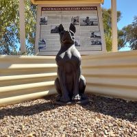 Australia's Military Animals