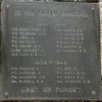 To Our Fallen Comrades