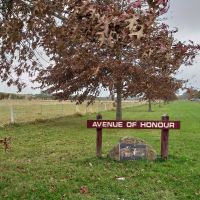 Kyneton Avenue of Honour