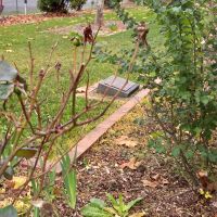 Kyneton High School Memorial Rose Gardens