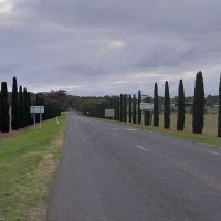 Rowsley Avenue of Honour