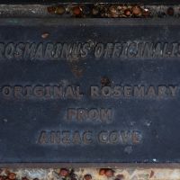 Plaque indicating rosemary