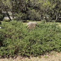 Memorial Stone & Plaques