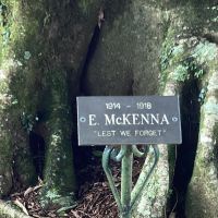 Montville Memorial Tree