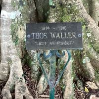Montville Memorial Tree