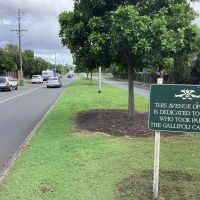 Avenue of Honour