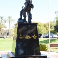 The figures with the service emblems below