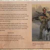 The story of Australian Military Working Dogs