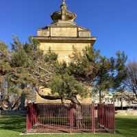 Lone Pine Tree & Plaque