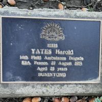 Harold Yates Service No 10335. Tree No 164.