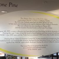 The Lone Pine