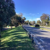 Tooradin Avenue of Honour