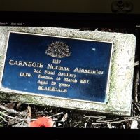 Norman Carnegie.  Service No. 1127.  Tree No. 26.