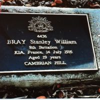 Stanley Bray.  Service No. 4436.  Tree No. 15.