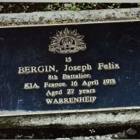 Joseph Bergin.  Service No. 15.  Tree No. 09.