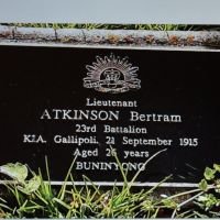 Lieutenant Bertram Atkinson.  Tree No. 06.