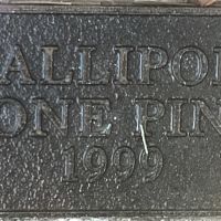 Lone Pine Plaque